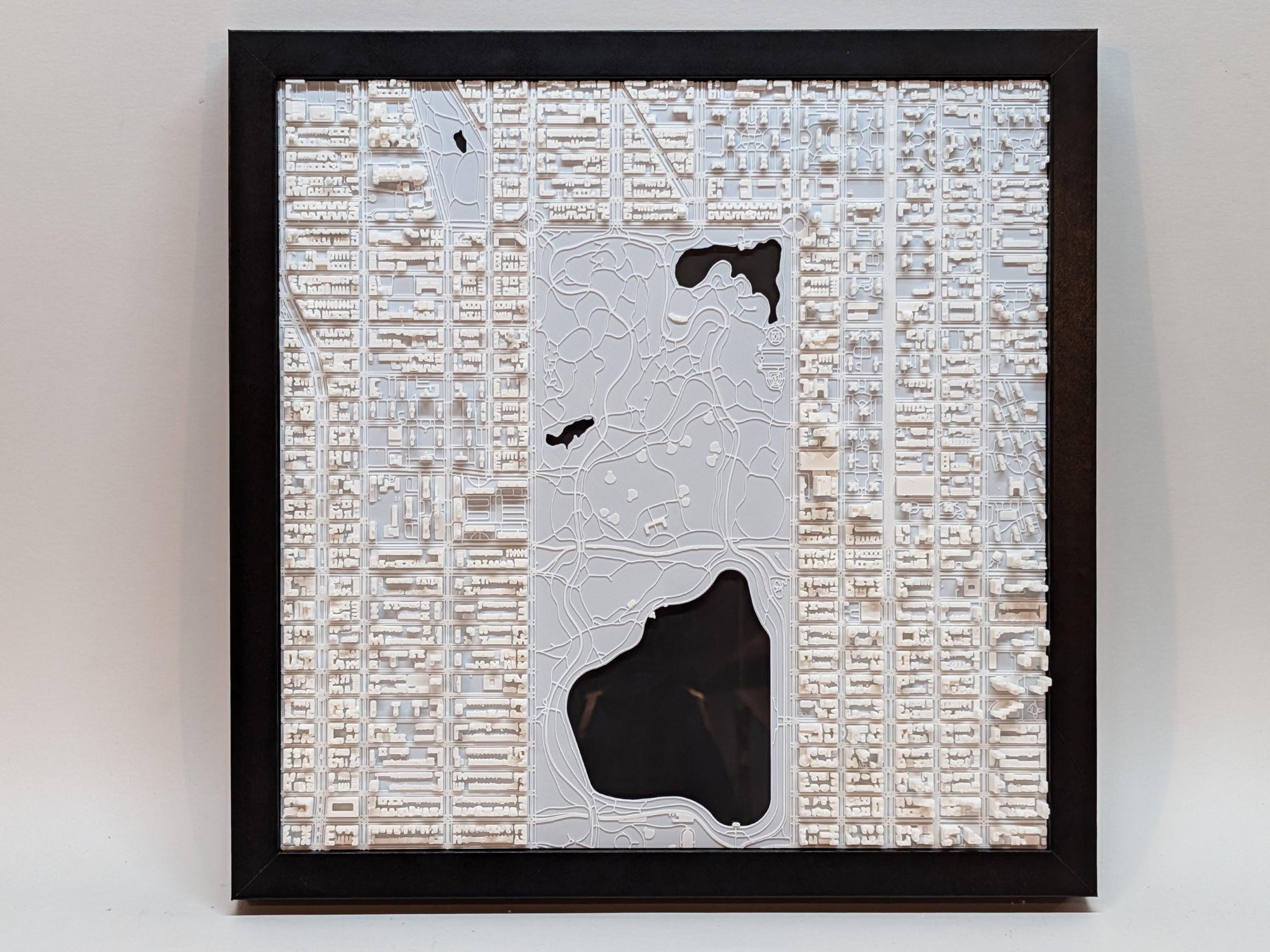 NYC Central Park North Half 3D Map - Premium Edition