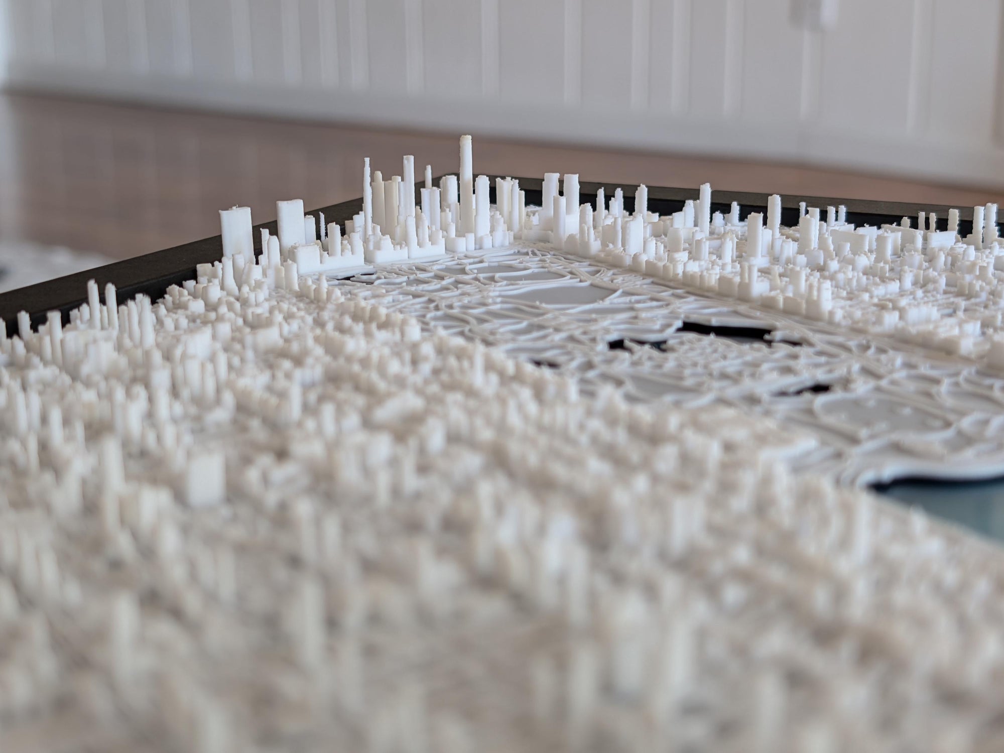 NYC Central Park Full 3D Map