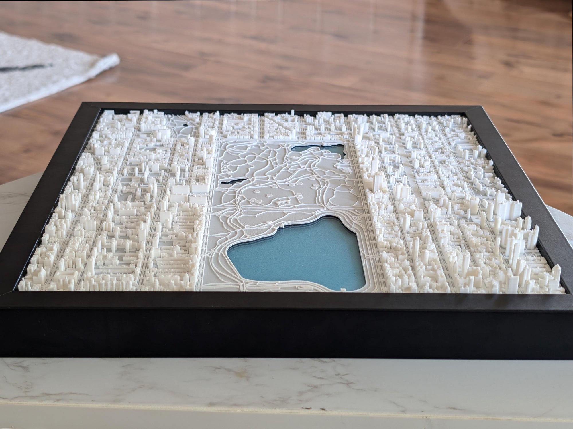 NYC Central Park North Half 3D Map