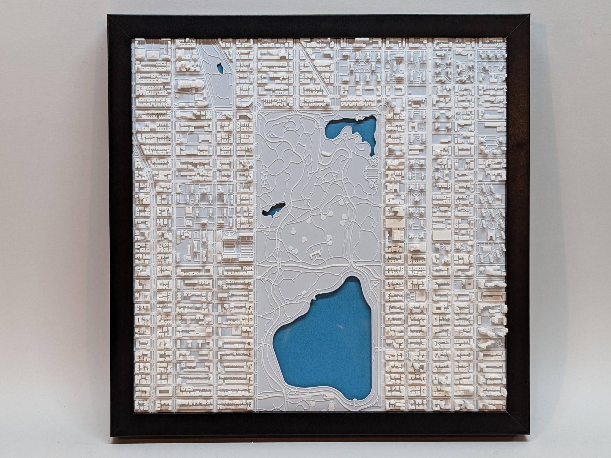 NYC Central Park North Half 3D Map