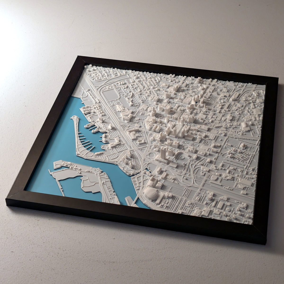 Buffalo 3D Map