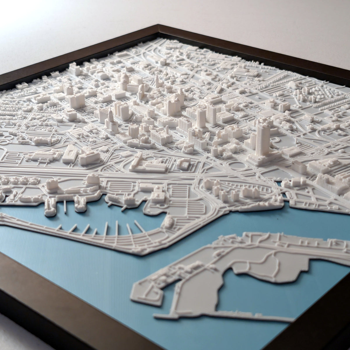 Buffalo 3D Map