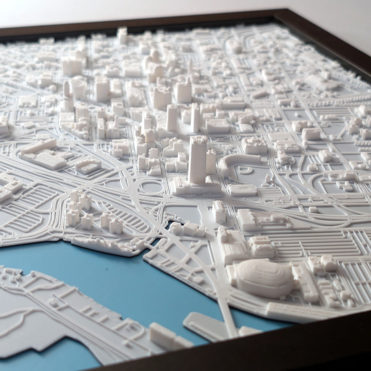 Buffalo 3D Map