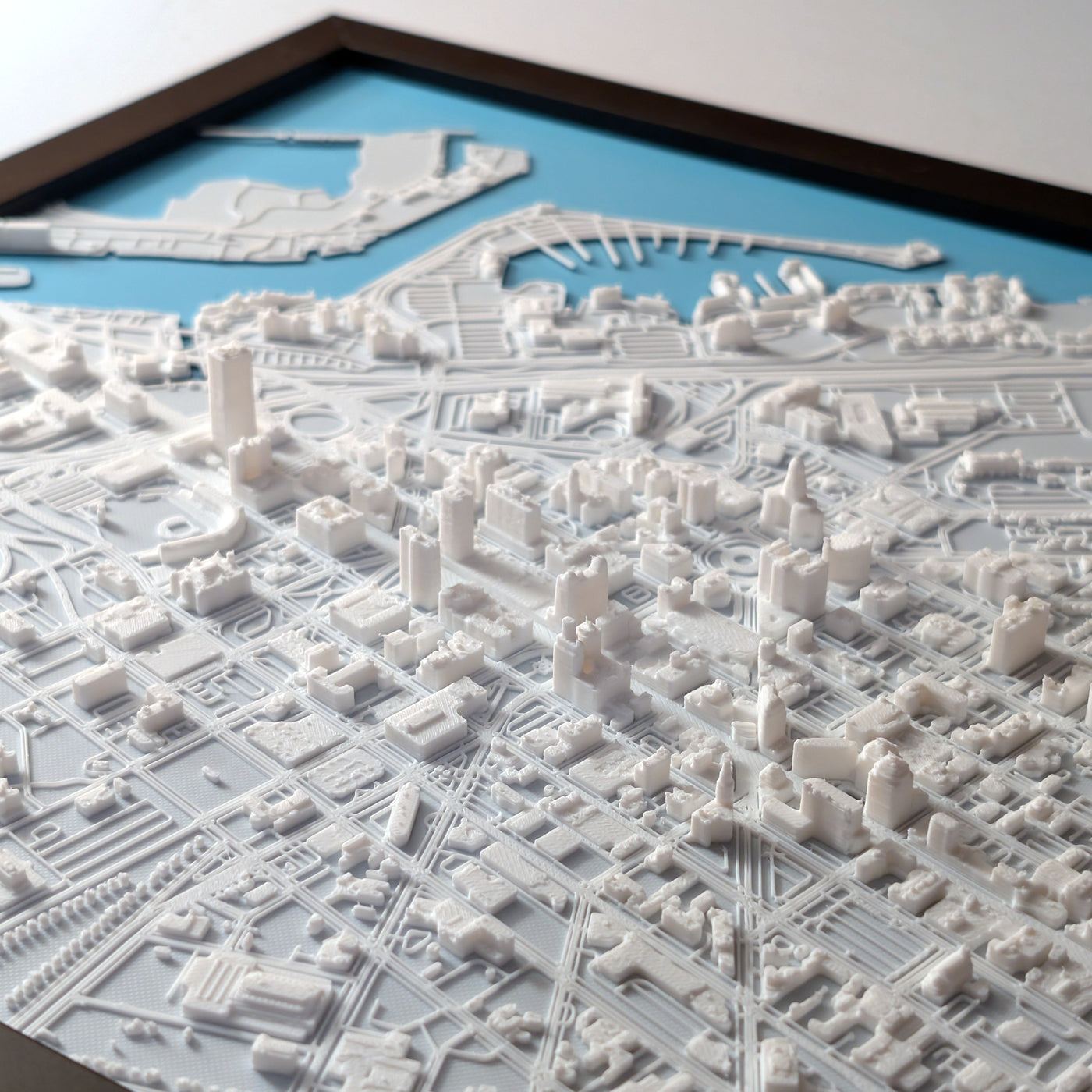 Buffalo 3D Map