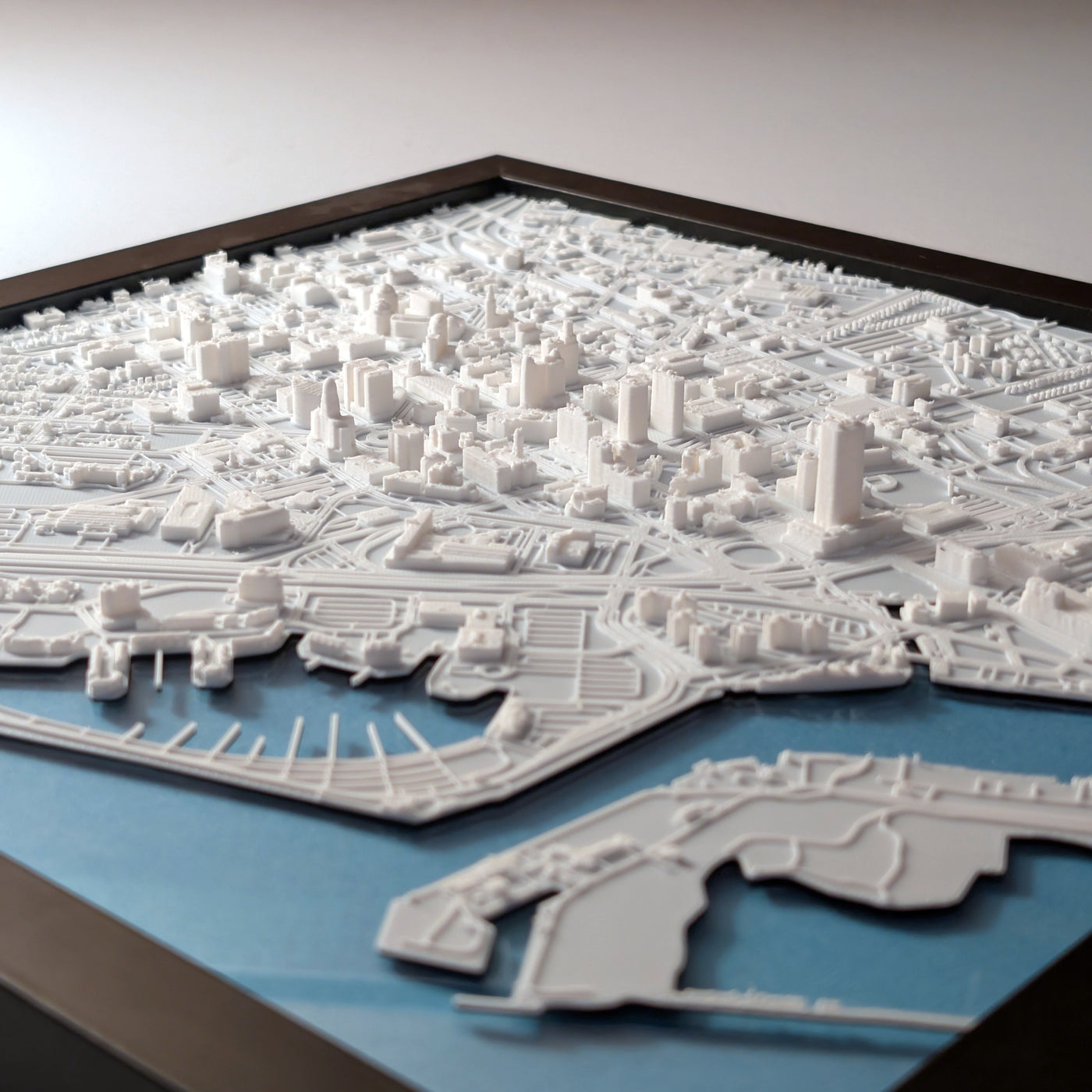 Buffalo 3D Map