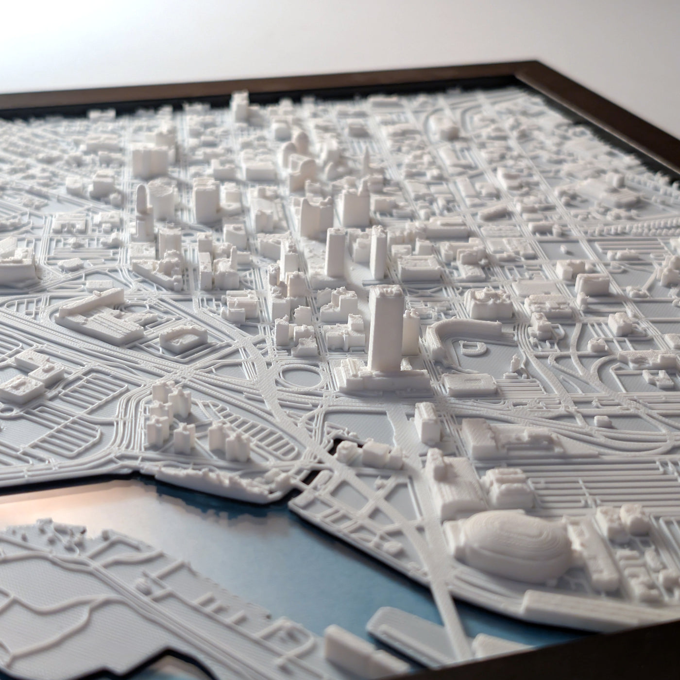 Buffalo 3D Map