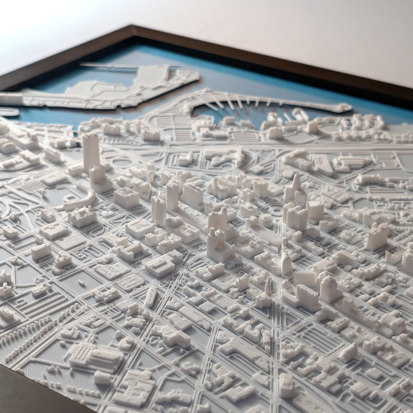 Buffalo 3D Map