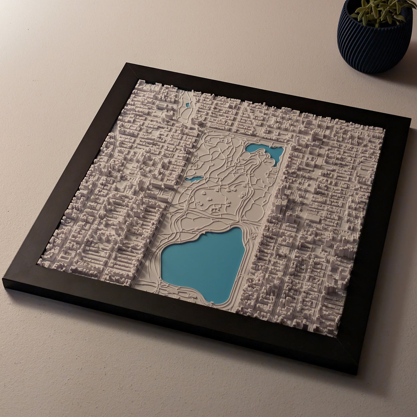 NYC Central Park North Half 3D Map