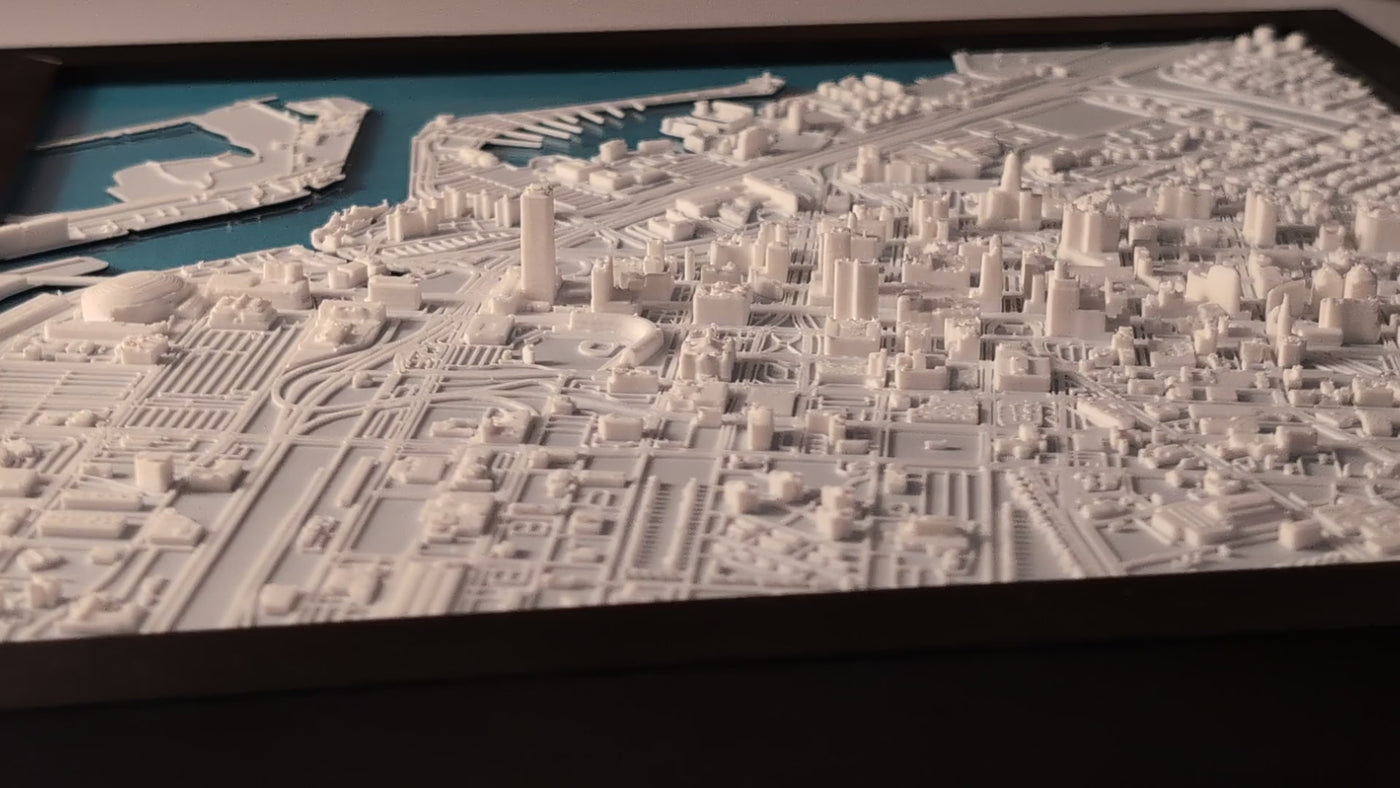 Buffalo_3d_map_premium_video